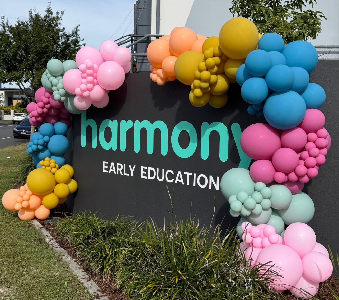 Balloon garland by metre