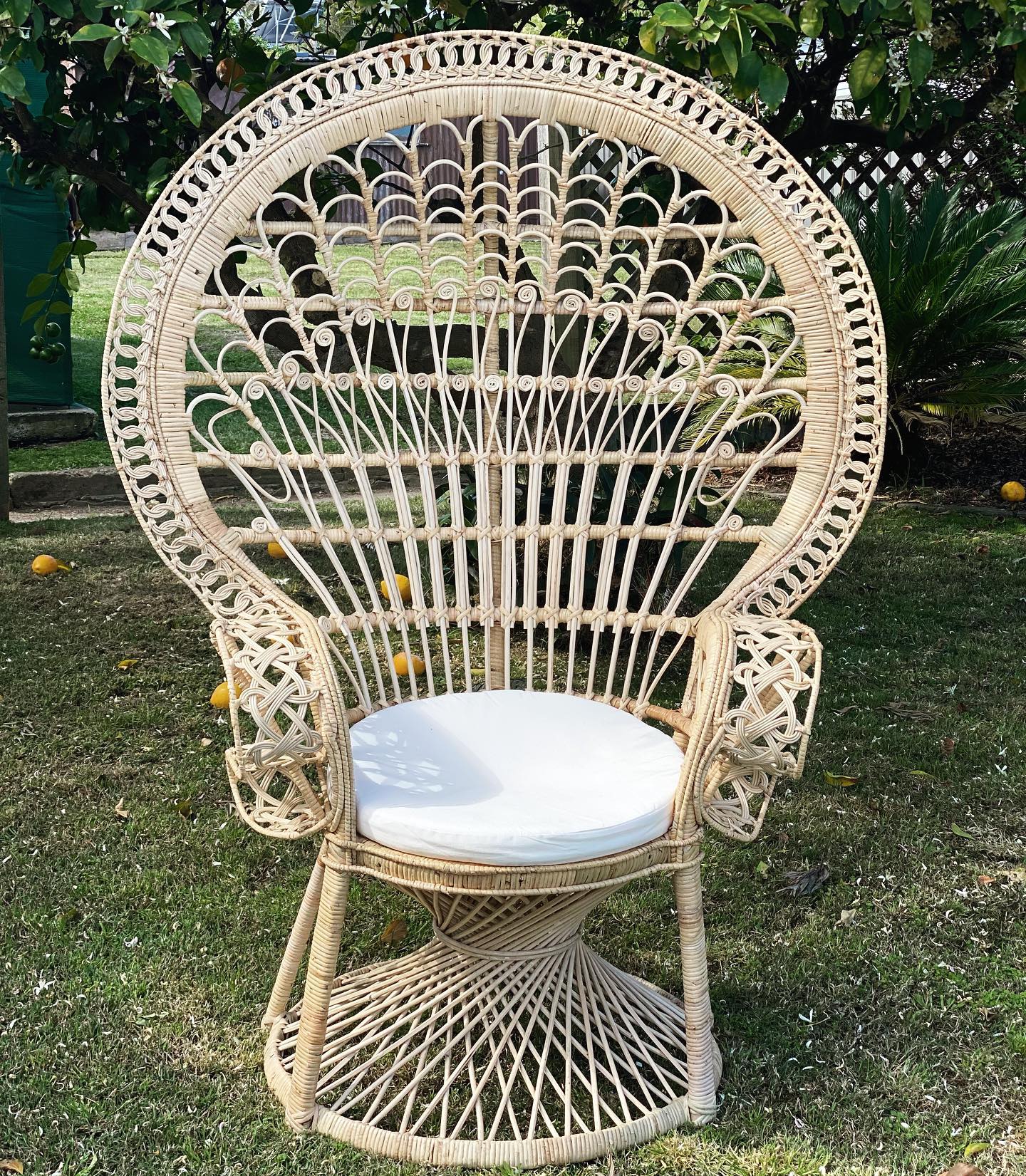 Raw Boho Chair